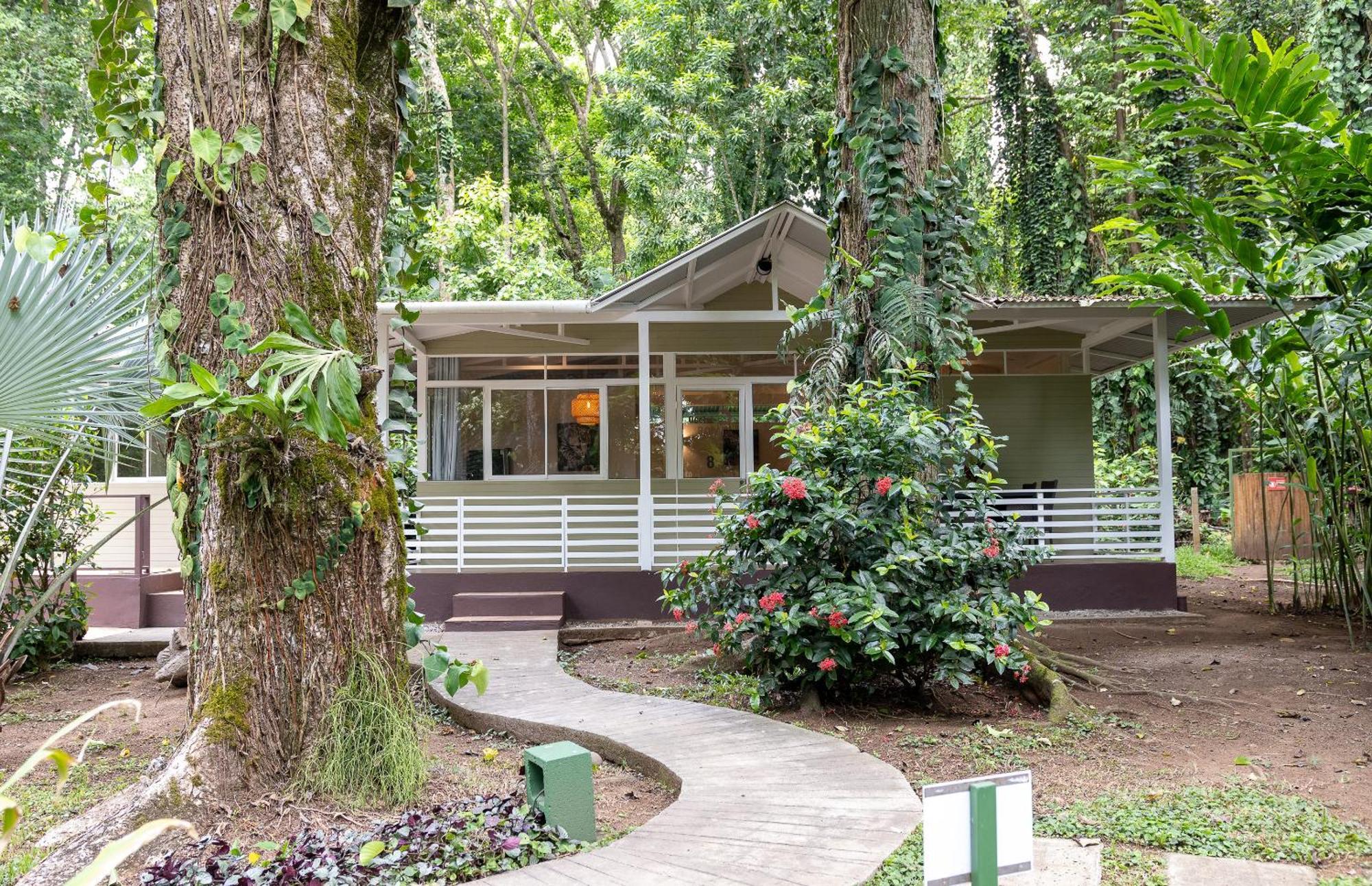 Jaguar Inn Bungalows Puerto Viejo de Talamanca エクステリア 写真