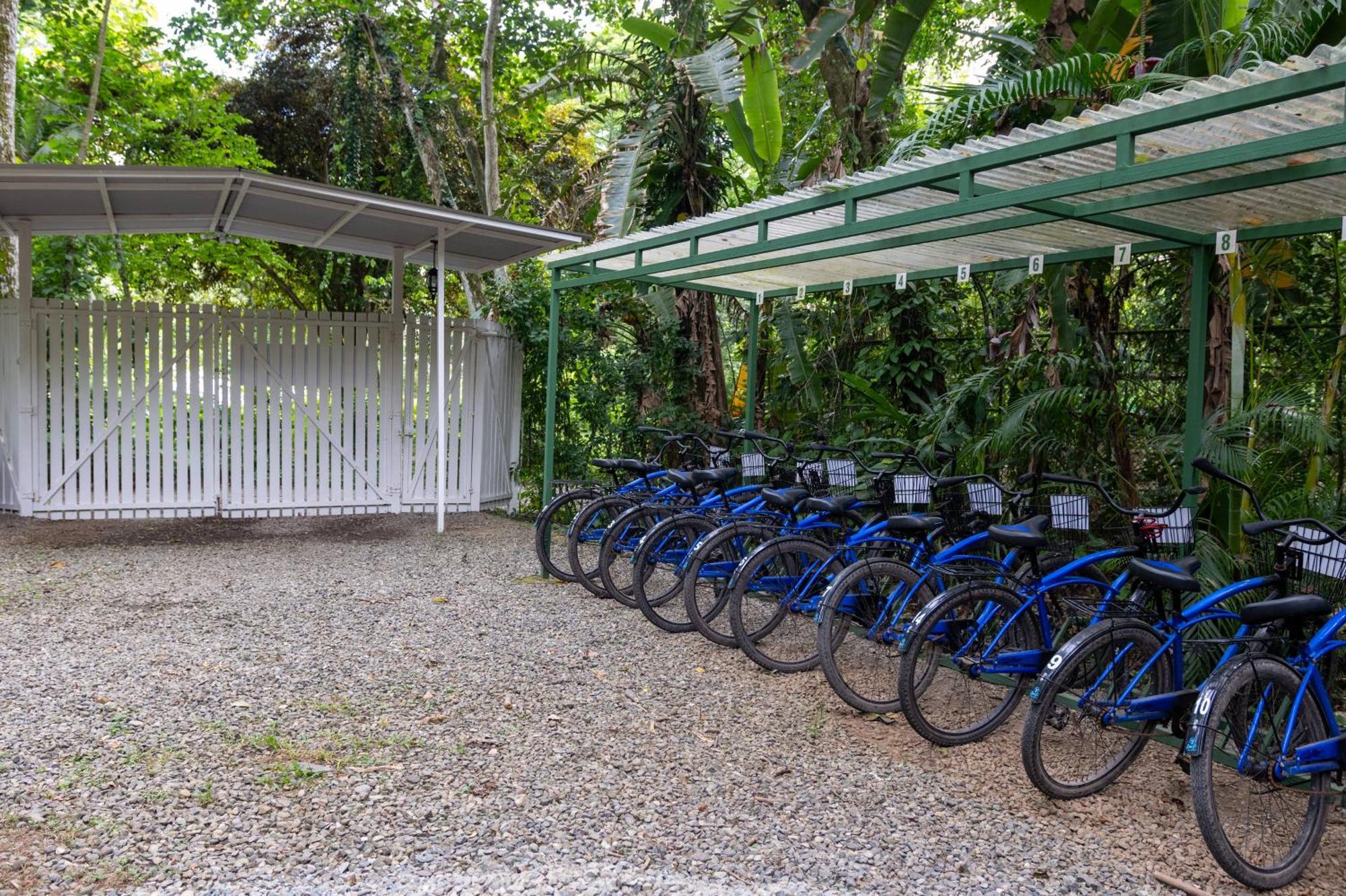 Jaguar Inn Bungalows Puerto Viejo de Talamanca エクステリア 写真