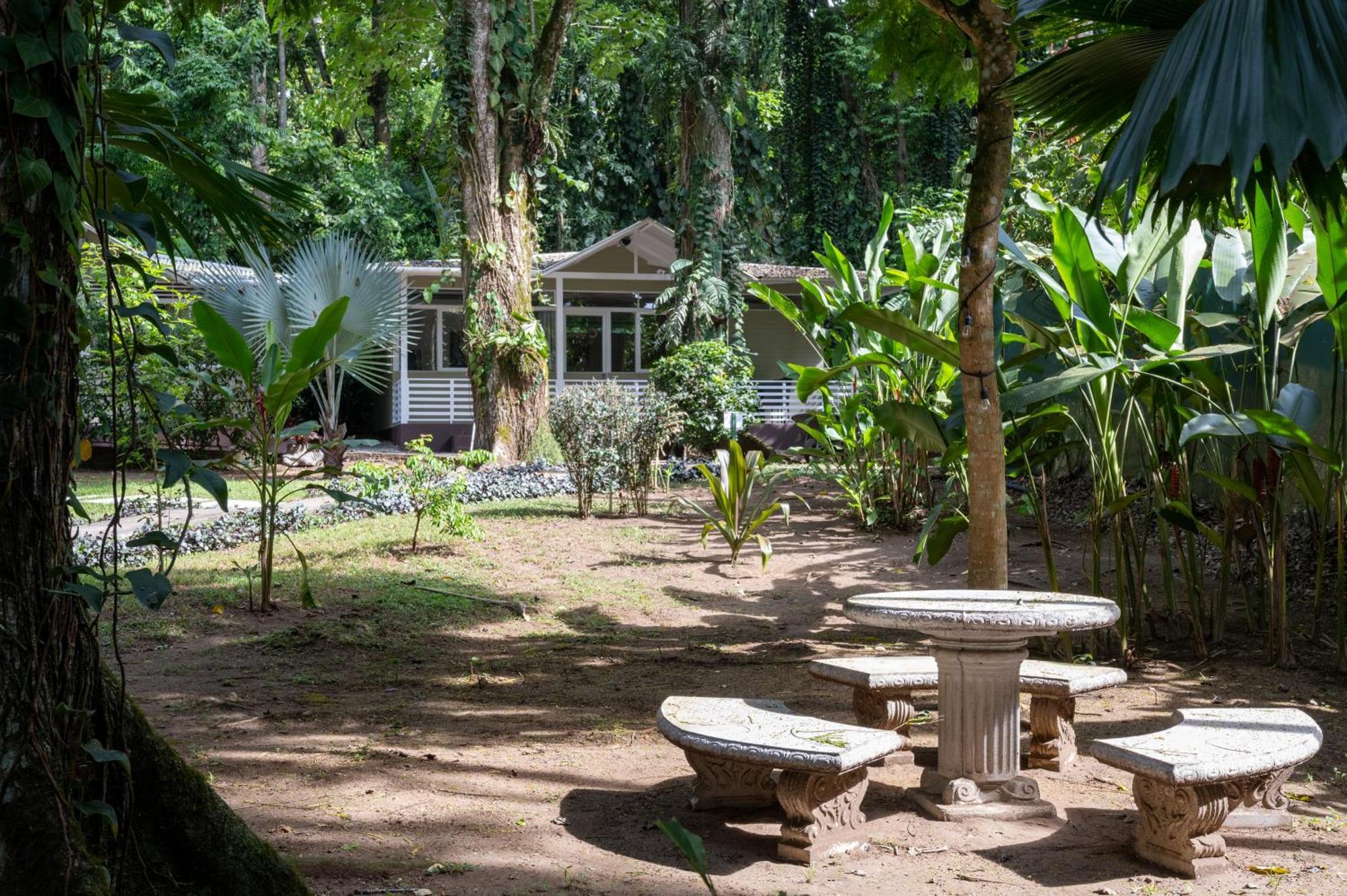 Jaguar Inn Bungalows Puerto Viejo de Talamanca エクステリア 写真