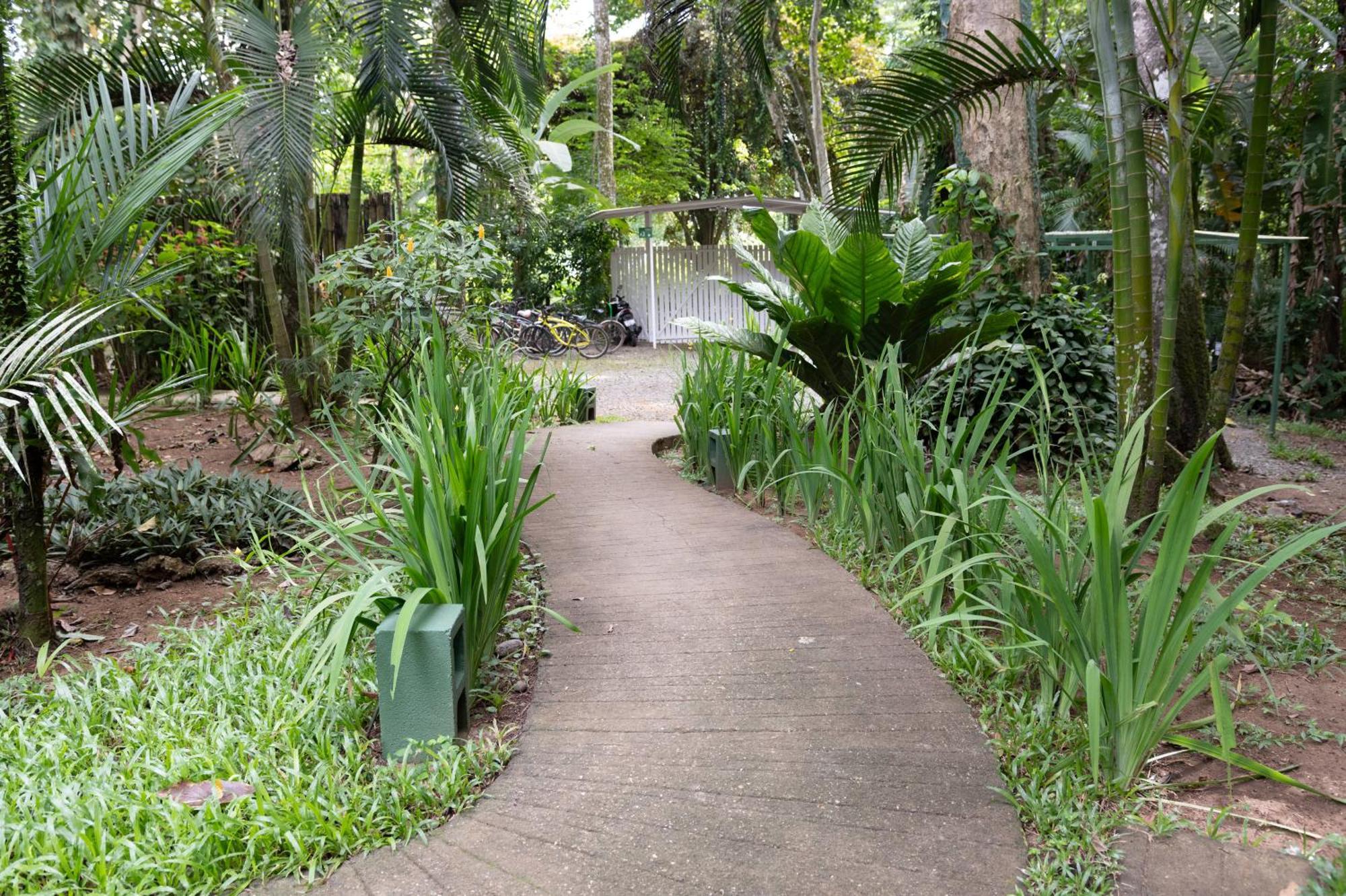 Jaguar Inn Bungalows Puerto Viejo de Talamanca エクステリア 写真