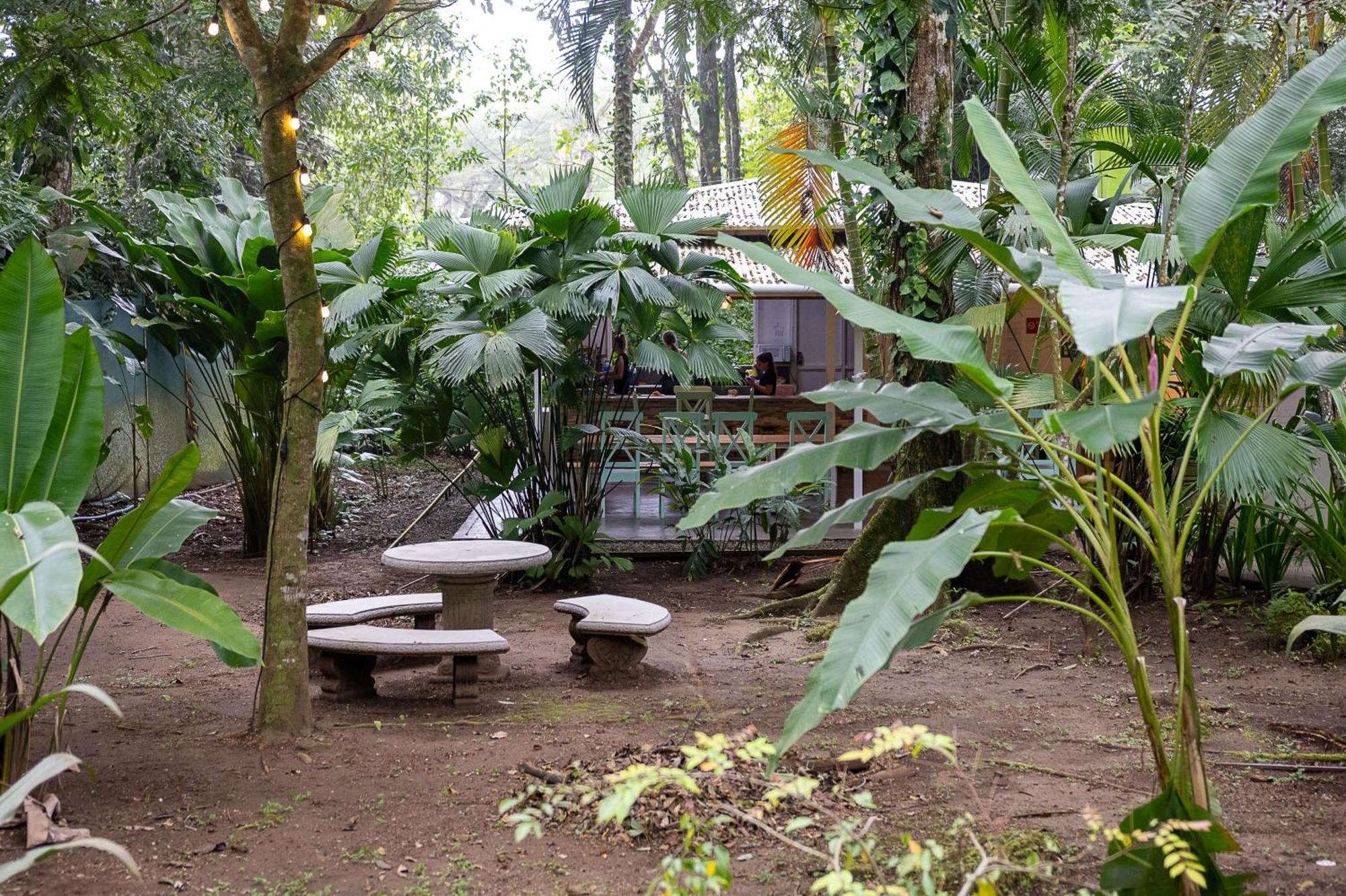 Jaguar Inn Bungalows Puerto Viejo de Talamanca エクステリア 写真