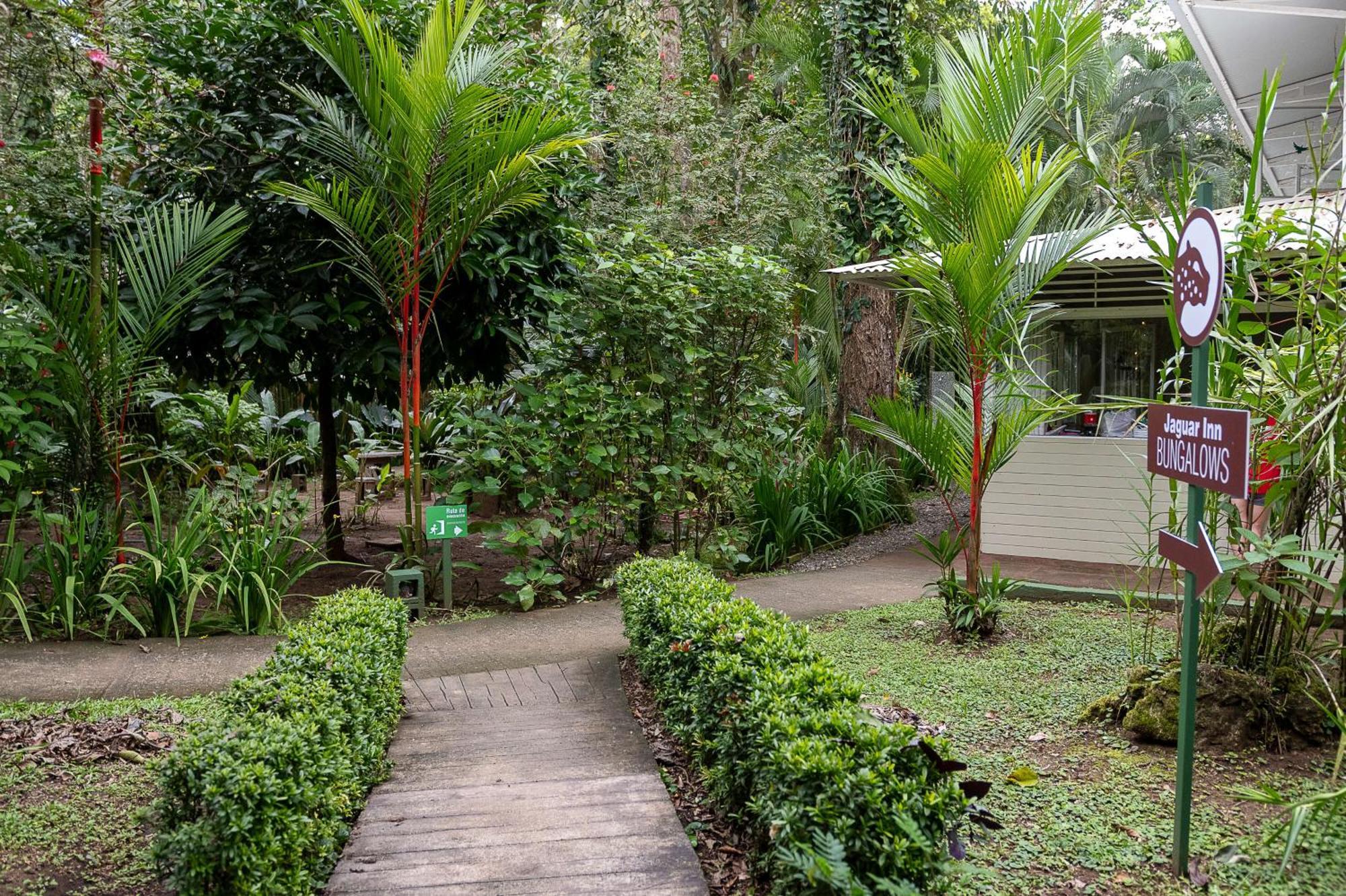 Jaguar Inn Bungalows Puerto Viejo de Talamanca エクステリア 写真