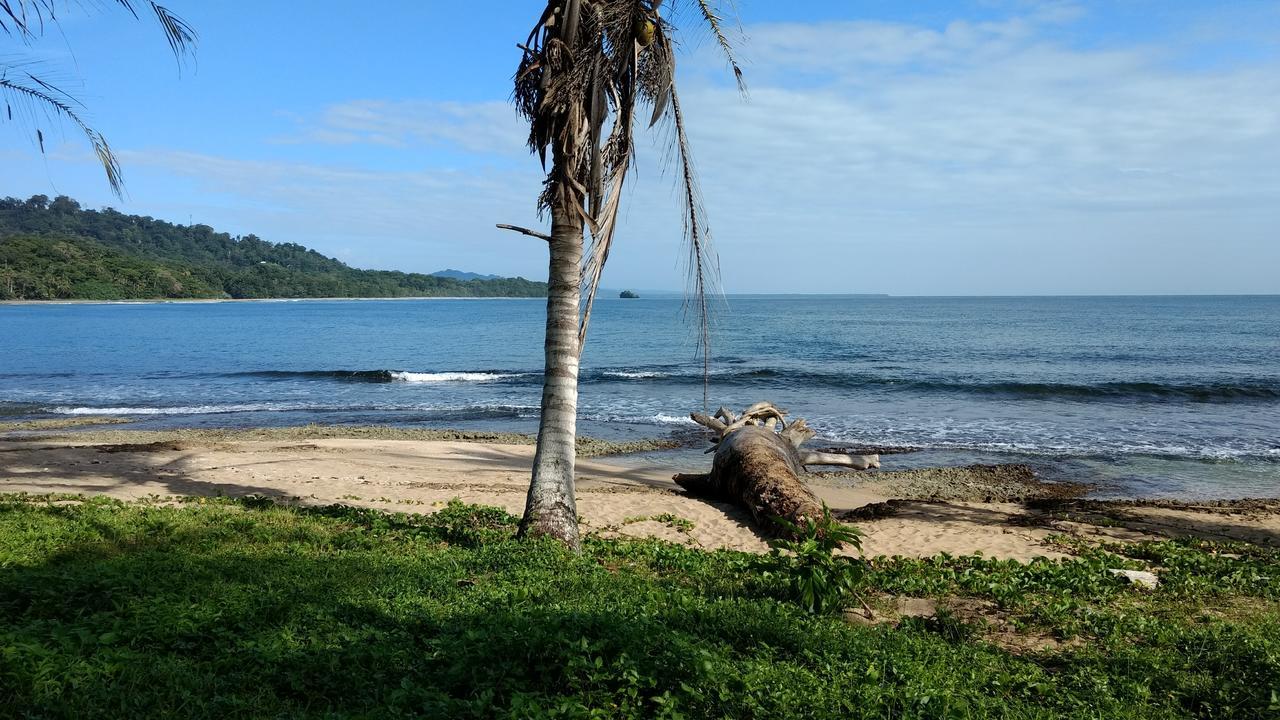Jaguar Inn Bungalows Puerto Viejo de Talamanca エクステリア 写真